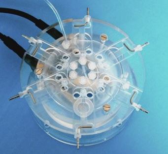 Brain Slice Chamber - BSC3