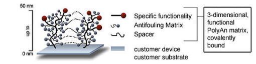 Microarray Glass Slides