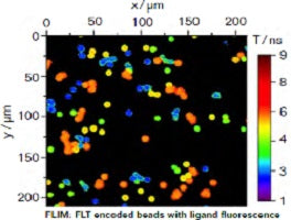 Microparticles for Fluorescence Lifetime