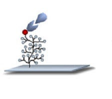 Functionalized glass sheets
