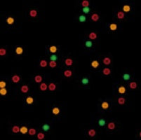 Blue encoded Multiplex Beads