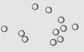 Functionalized PMMA Microparticles