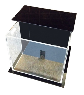 Light Dark Box Rodents