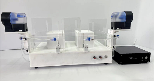 Zebrafish T Maze